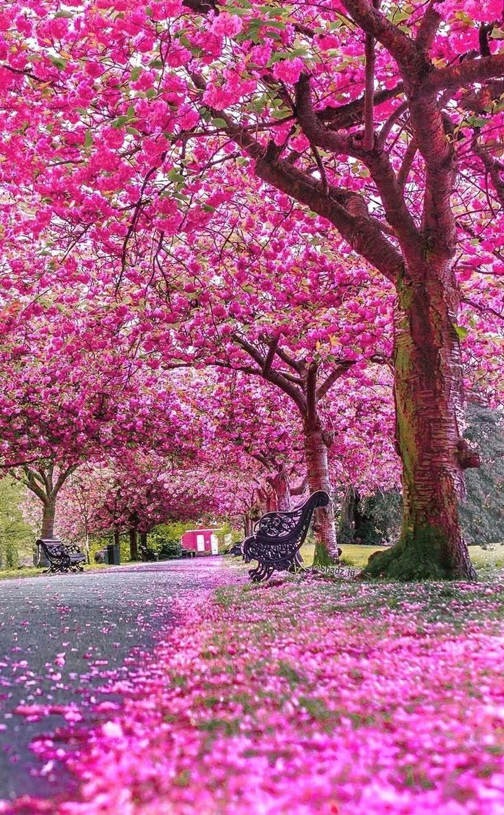 Corporate floral consultation example